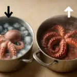 È meglio cuocere il polpo in acqua fredda o bollente? La risposta che cambia la consistenza